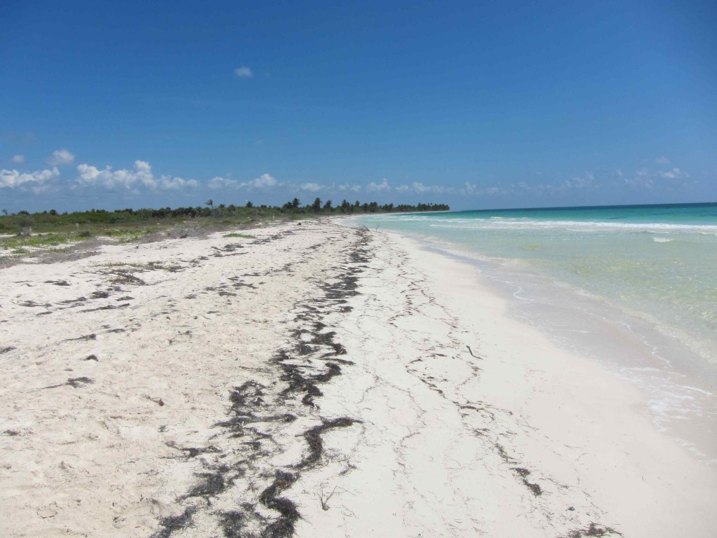 Sian Ka'an Beach
